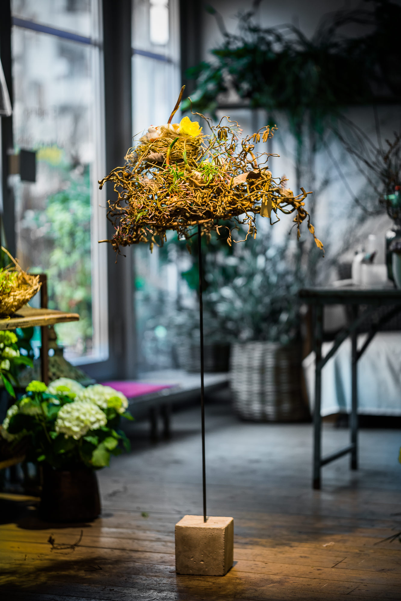 Export x3 5D4 9379 Businessauftrag 2017 Blattform Aarau